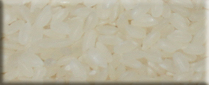 Camolino pirinç
