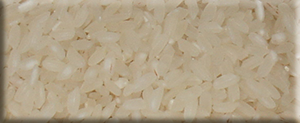 Osmancık pirinç