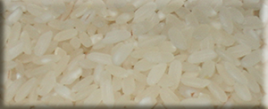 Osmancık pirinç
